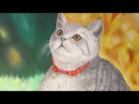british cat oliver painting.британская кошка